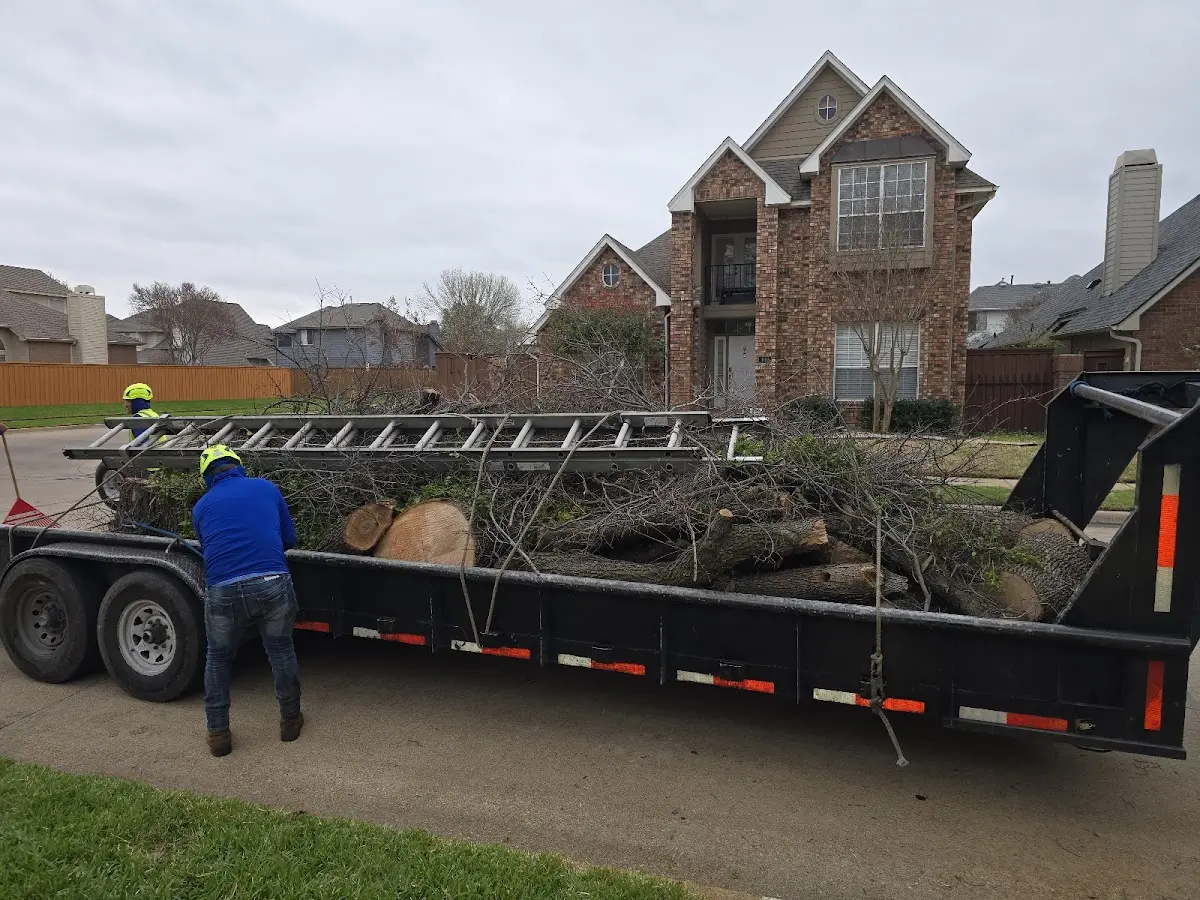 Expert Tree Pest Control with proper safety equipment in Fort Rock